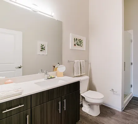 Student Studio Apartments