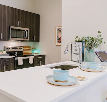 Student 1 Bedroom Apartments