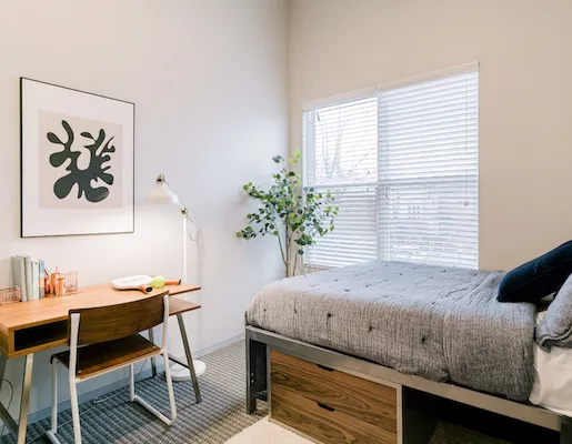 Student 3 Bedroom Apartments